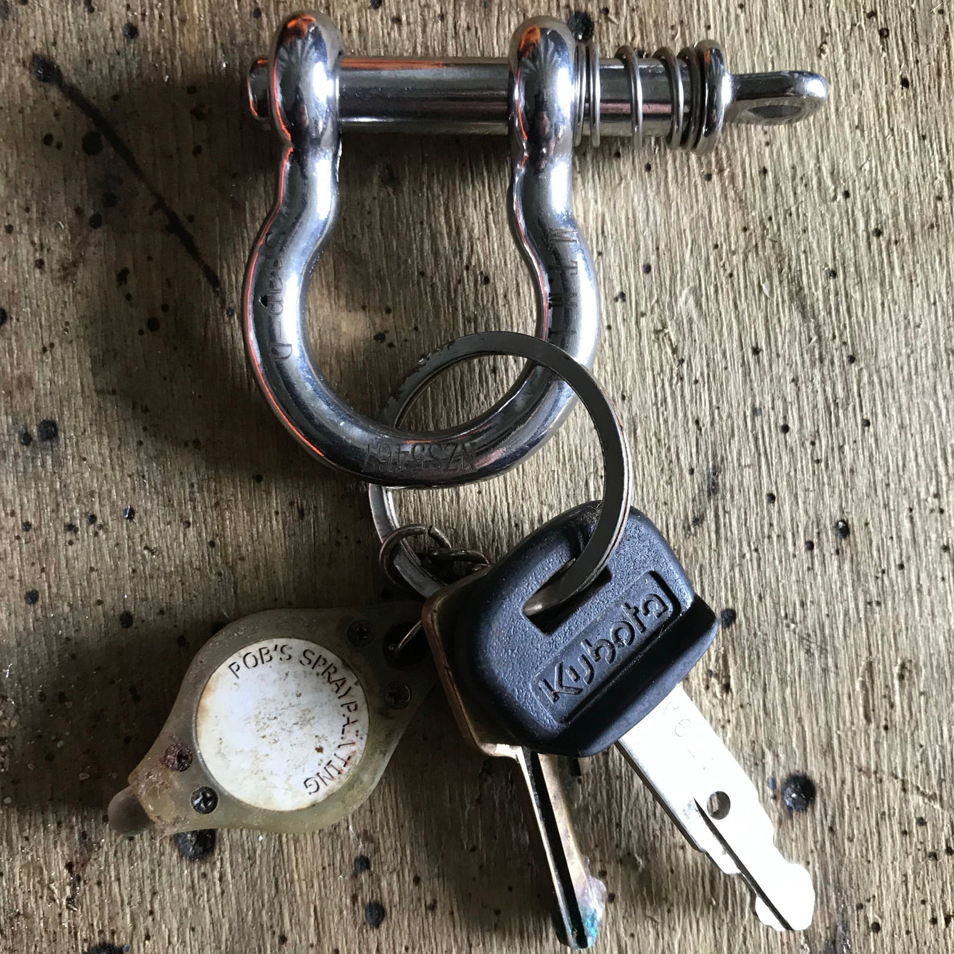 Bow Shackle (8MM - 1000KG) - snapd store